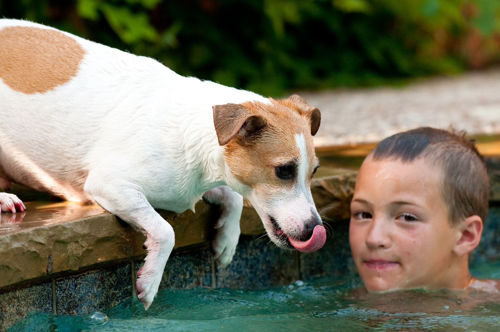 Pets in the Hot Tub