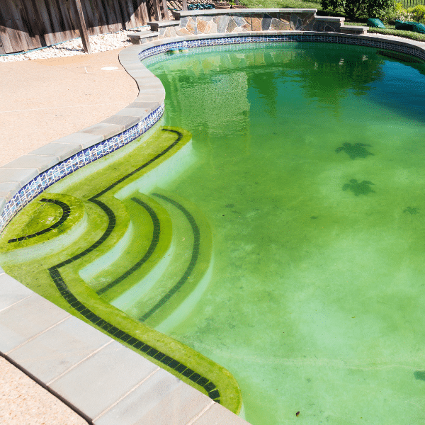 Cloudy swimming pool showing water circulation problems